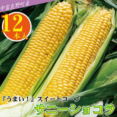 ふるさと納税 中富良野町 BF-010[2026年発送][中富良野町]とうもろこし『サニーショコラ』(12本入り)
