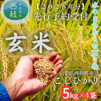 ふるさと納税 西桂町 [先行予約受付]山梨県西桂町産 富士山麓「水のまち」の令和8年産こしひかり玄米5kg×1袋