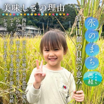 ふるさと納税 西桂町 【先行予約受付】山梨県西桂町産 富士山麓「水のまち」の令和8年産こしひかり玄米5kg×1袋 |  | 02