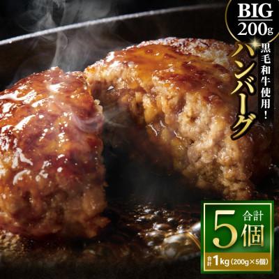 ふるさと納税 阪南市 200gのBIG手作りハンバーグ 黒毛和牛使用 200g×5個