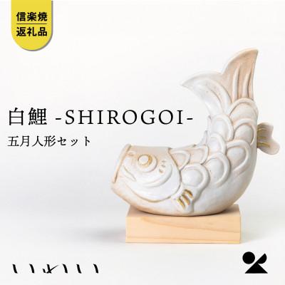 ふるさと納税 甲賀市 信楽焼・明山の いわい 白鯉-SHIROGOI- 五月人形セット iwai-k07