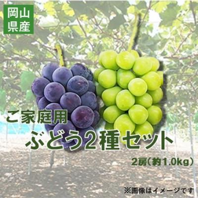 ふるさと納税 浅口市 [2026年先行予約]訳あり NISSHOKU FARM ご家庭用ぶどう2種セット 約1.0kg