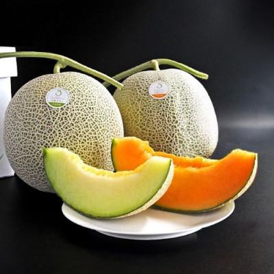 ふるさと納税 中富良野町 BF-039[2026年発送][中富良野町]寺坂メロン赤青セット 2玉入り