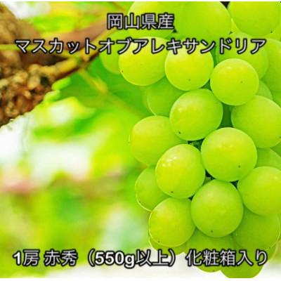 ふるさと納税 玉野市 [2026年発送]岡山県産 マスカットオブアレキサンドリア 1房 赤秀 (550g以上) 化粧箱入り