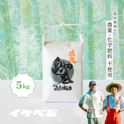 ふるさと納税 佐渡市 新潟県佐渡産 令和7年産 [亀の尾] 白米 5kg