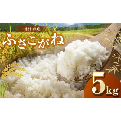 ふるさと納税 君津市 [令和7年度産]君津市産ふさこがね 精米 5kg×1袋