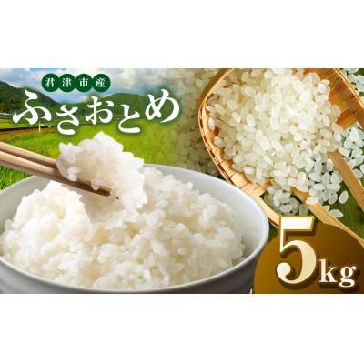 ふるさと納税 君津市 [令和7年度産]君津市産ふさおとめ 精米 5kg×1袋
