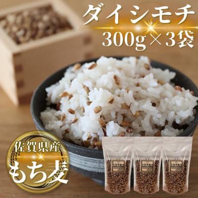 ふるさと納税 鳥栖市 [もち麦]ダイシモチ300g×3袋(計900g)佐賀県産『雑穀』(鳥栖市)