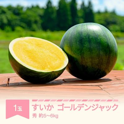 ふるさと納税 村山市 ゴールデンジャック 1玉(5〜6kg)