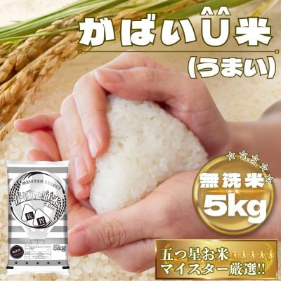 ふるさと納税 鳥栖市 がばいU米(うまい)[無洗米]5kg(鳥栖市)