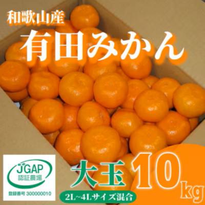 ふるさと納税 広川町 先行受付2026年11月より順次発送[まごころ手選別]有田みかん10kg大玉(2L〜4L混合)