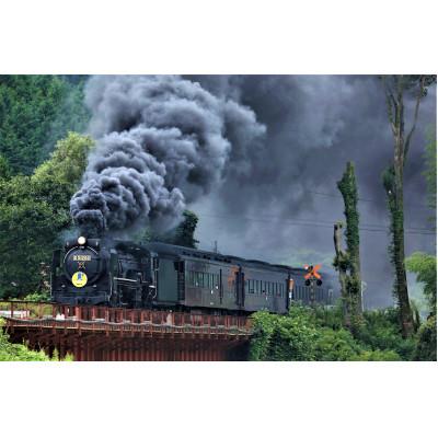 ふるさと納税 津和野町 SLやまぐち号での特別体験in津和野[2名様][5月9日運行分]