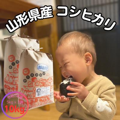 ふるさと納税 飯豊町 [生産者の顔が見える米]令和7年飯豊町産コシヒカリ10kg[白米]