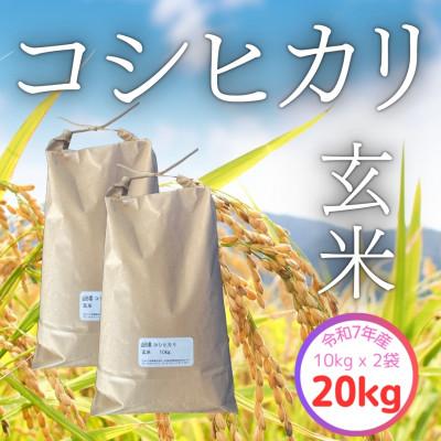 ふるさと納税 飯豊町 [令和7年産]飯豊町産 コシヒカリ玄米20kg