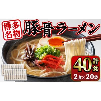 ふるさと納税 春日市 福岡豚骨ラーメン 計40食 ストレート麺 細めん(春日市)