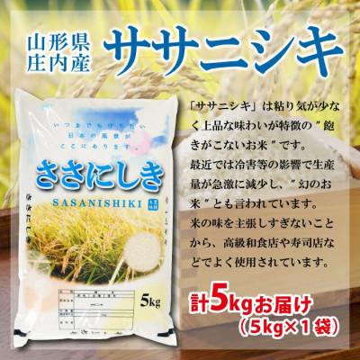 ふるさと納税 酒田市 【令和7年産米】【山形県庄内産】ササニシキ5kg×1