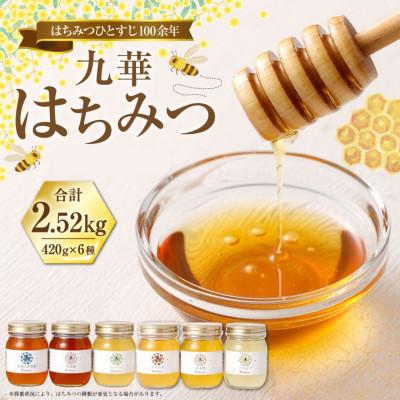 ふるさと納税 桑名市 九華はちみつ 彩りセット