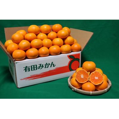 ふるさと納税 広川町 先行受付2026年11月より順次発送[まごころ手選別]有田みかん5kg小玉(3S〜Sサイズ混合)