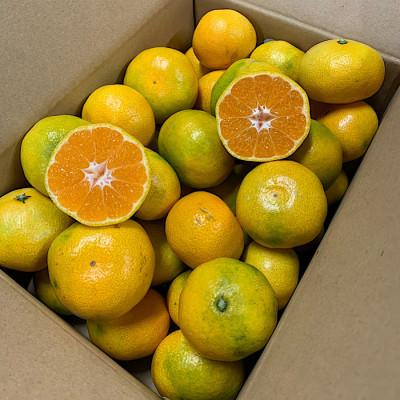 ふるさと納税 広川町 10月中旬より順次発送[まごころ手選別]和歌山産 有田みかん(極早生)3kg 1箱(2S〜L混合)