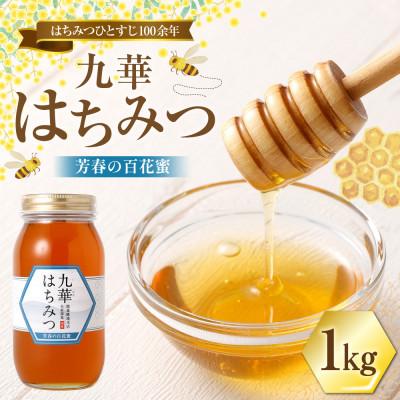 ふるさと納税 桑名市 九華はちみつ 芳春の百花蜜 1kg