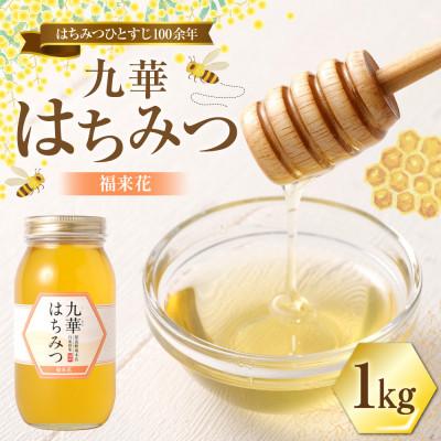 ふるさと納税 桑名市 九華はちみつ 福来花はちみつ 1kg