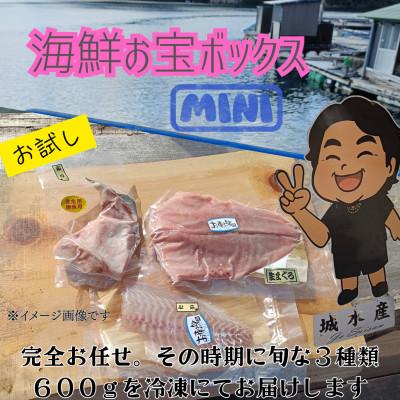 ふるさと納税 南伊勢町 訳あり 伊勢志摩産 お試し 海鮮お宝ボックス Mini 旬な海産物 3種類 600g おまかせセット