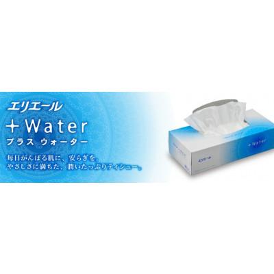 ふるさと納税 島田市 エリエール+Water 180W5箱×10セット