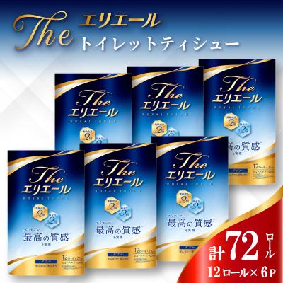ふるさと納税 島田市 エリエール Theエリエール トイレットティシュー12ロール×6セット(ダブル)