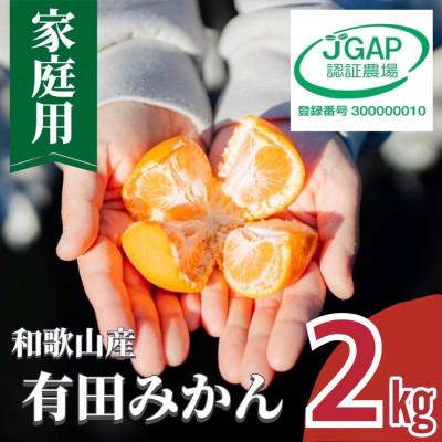 ふるさと納税 広川町 先行受付2026年11月より順次発送[まごころ手選別]有田みかん2kg家庭用(2S〜2Lサイズ混合)