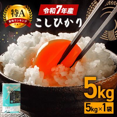 ふるさと納税 笠間市 令和7年産 コシヒカリ 精米5kg 特A 茨城県笠間市