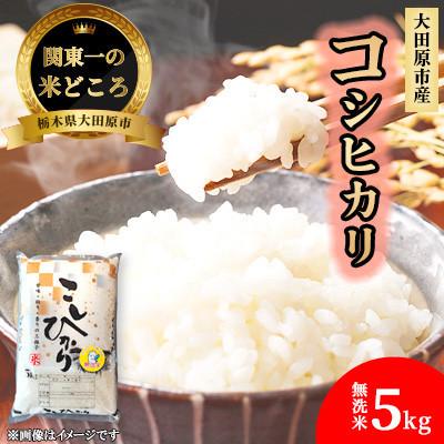 ふるさと納税 大田原市 【令和7年産 数量限定】栃木県大田原市産 藤田