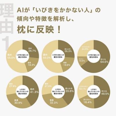 ふるさと納税 我孫子市 いびきに悩む人向け枕 THE PILLOW Preset 01 Ibiki |  | 01