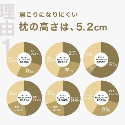 ふるさと納税 我孫子市 肩こりに悩む人向け枕 THE PILLOW Preset 02 Katakori_1