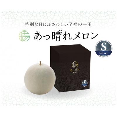 ふるさと納税 岡山市 [2026年7月〜順次発送][シルバー]あっ晴れメロン