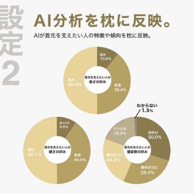 ふるさと納税 我孫子市 首を支える形状が好みの人向け枕 THE PILLOW Preset 04 Neck Support_2