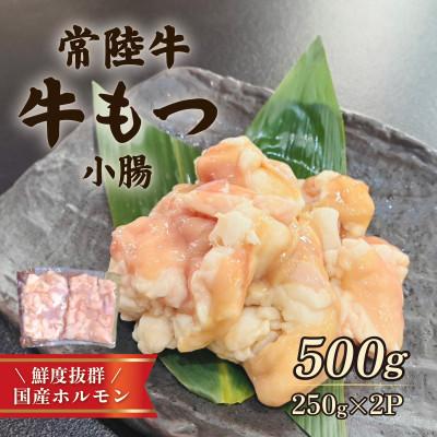 ふるさと納税 下妻市 常陸牛もつ(小腸) 500g(250g×2)