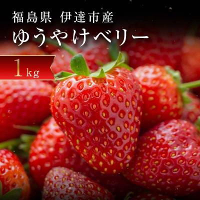 ふるさと納税 伊達市 新品種のいちご 福島県 オリジナル品種「ゆうやけベリー」約1kg F20C-678