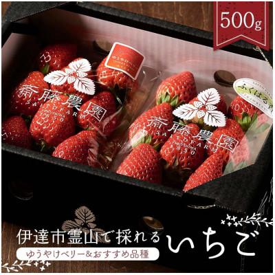 ふるさと納税 伊達市 伊達市霊山で採れるいちご2種類詰め合わせ500g(ゆうやけベリー&amp;おすすめ品種)F21C-216