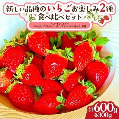 ふるさと納税 伊達市 新しい品種のいちご お楽しみ 2種 食べ比べセット300g×2パック F21C-420
