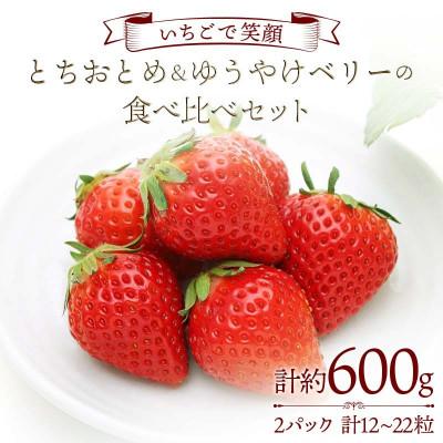 ふるさと納税 伊達市 とちおとめ&amp;ゆうやけベリーの食べ比べセット 各1パック(1パックに約300g)F20C-984
