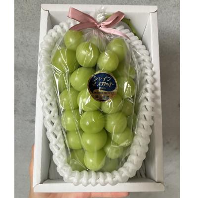 ふるさと納税 里庄町 岡山産 高級シャインマスカット2房1.2kg以上 糖度18度以上