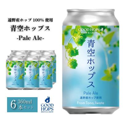 ふるさと納税 遠野市 クラフトビール GOOD HOPS 青空ホップス ペールエール 6本セット 缶ビール