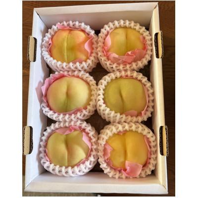 ふるさと納税 里庄町 岡山産白桃 ご家庭用 1キロ以上 品種園主お任せ 訳アリ