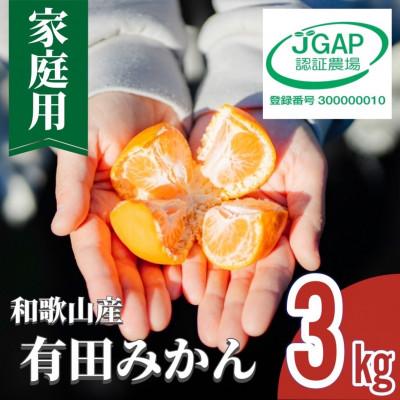 ふるさと納税 印南町 先行受付2026年11月より順次発送[まごころ手選別]有田みかん3kg家庭用(2S〜2Lサイズ混合)