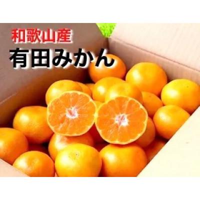 ふるさと納税 印南町 先行受付2026年11月より順次発送[まごころ手選別]有田みかん5kg(2S〜Lサイズ混合)