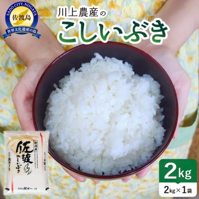 ふるさと納税 佐渡市 佐渡 川上農産のこしいぶき(精米2kg)
