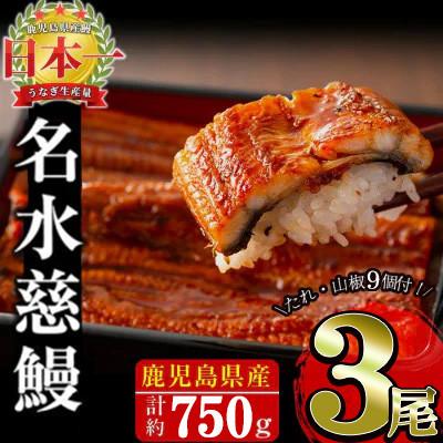 ふるさと納税 志布志市 鹿児島県産うなぎ蒲焼 名水慈鰻 3尾(1尾約236〜270g)[計約750g]
