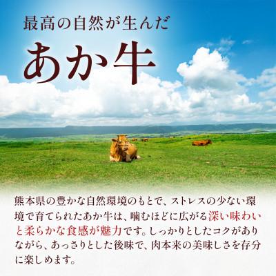 ふるさと納税 宇城市 熊本県産 GI認証取得 くまもとあか牛 切り落とし 合計800g(宇城市) |  | 01