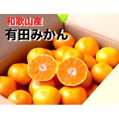 ふるさと納税 印南町 2026年11月より順次発送[まごころ手選別]有田みかん3kg(2S〜Lサイズ混合)補償分+2〜4個