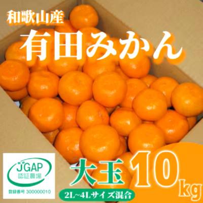 ふるさと納税 印南町 先行受付2026年11月より順次発送[まごころ手選別]有田みかん10kg大玉(2L〜4L混合)
